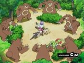 Team Rocket are surrounded by Ursaring