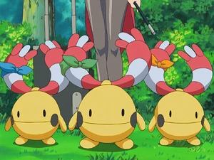 Francesca's Chingling.