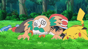 Rowlet got defeated