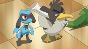 Ash Riolu and Farfetch'd