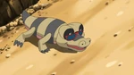 Ash's Sandile (BW003-BW020)