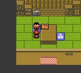 This person gives the player an Itemfinder