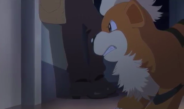 Looker S Growlithe Pokemon Wiki Fandom