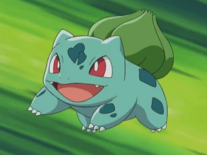 May's Bulbasaur.