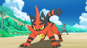 Ash's Torracat