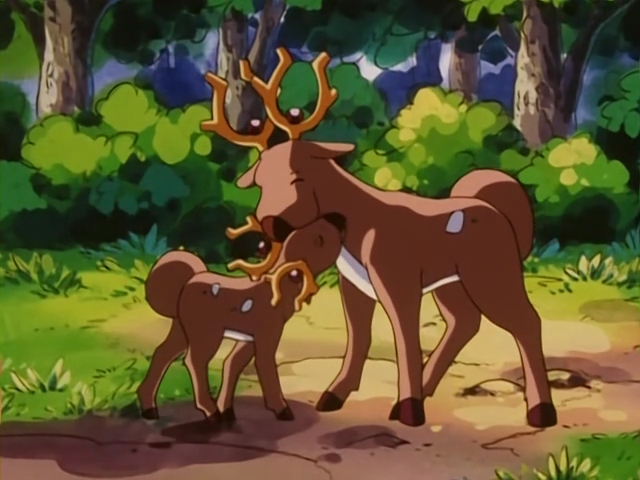 Pokemon The Johto Journeys Pokemon Wiki Fandom Pokemon The Johto Journeys Pokemon Wiki Fandom