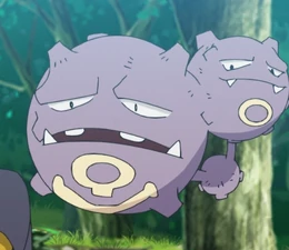 Hunter's Weezing.