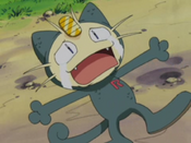 Meowth on the ground crying