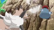 Rockruff using Bite on Lycanroc