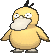 0054Psyduck VI