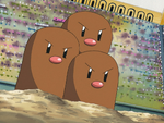 Katie's Dugtrio was the third Pokémon used in the Hoenn League Ever Grande Conference against Ash. It fought and thanks to its type advantage, defeated Ash's Pikachu easily, but was defeated by Ash's Glalie's very powerful and super effective Ice Beam.