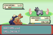 Smelling Salts depicted in Pokémon Emerald Version