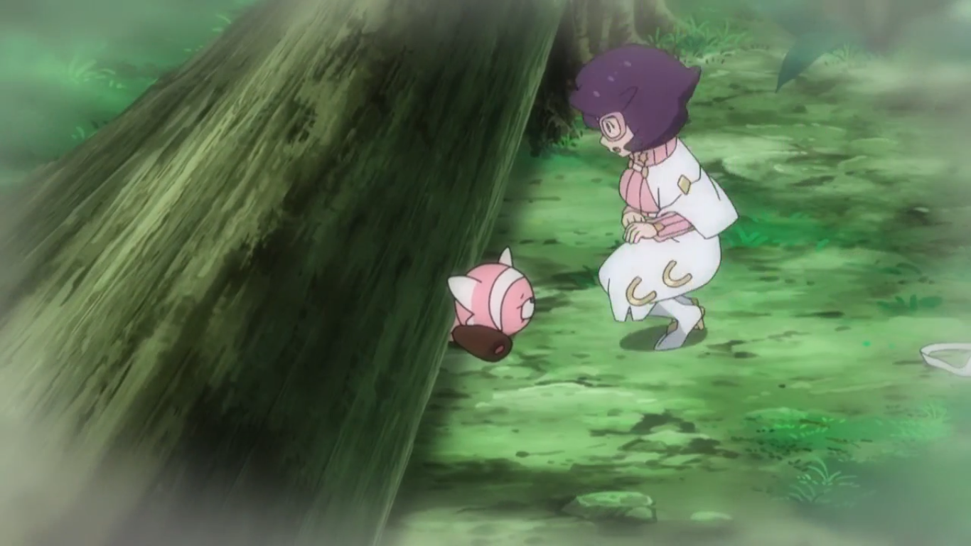 pokemon moon wicke