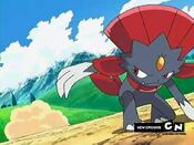 Weavile defeats Staraptor