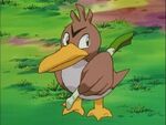 Farfetch'd was Keith's partner Pokémon in thievery. Though Keith believed Farfetch'd was weak, it proved to be quite a strong Pokémon.