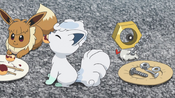Sandy, Snowy and Meltan