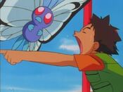 Brock orders Butterfree to get to business