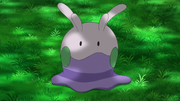 Ash's Goomy
