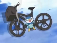 Dawn's destroyed bicycle DP002
