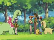 Casey appears with Meganium