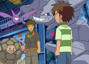 Brock, Steelix, Crobat and Forest