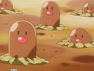 Diglett TB031