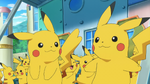 Frank had many Pikachu, who acted as actors, from which five wore matching costumes.