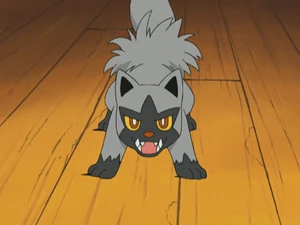 Katrina's Poochyena.