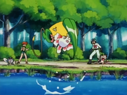 Misty Goldeen Fury Attack