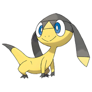 Helioptile