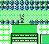 The back entrance in Pokémon Yellow