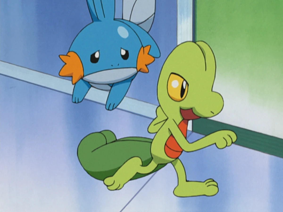 Stephanie's father's Treecko | Pokémon Wiki | Fandom, image size:1200x900