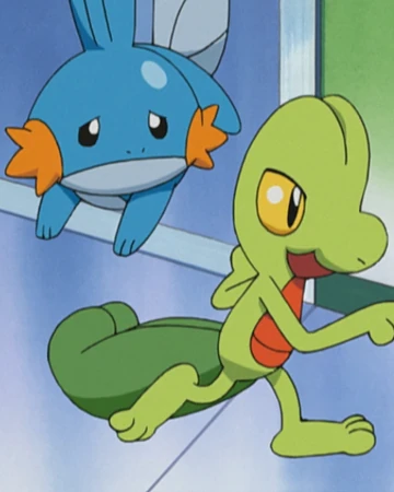 Stephanie S Father S Treecko Pokemon Wiki Fandom