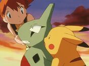 Larvitar is still scared of Misty