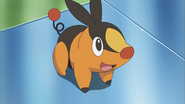 Tepig in the anime.