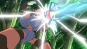 Greninja battling against Barbaracle