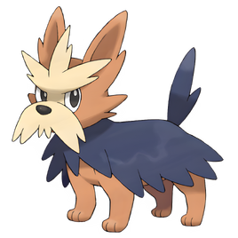0507Herdier