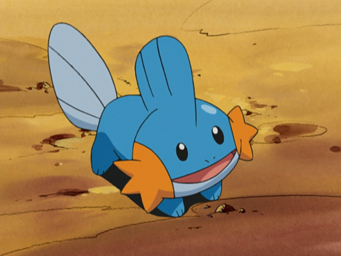 När gruppen separerades från sin Pokémon skickade Brock ut sin Mudkip för a...