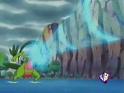 Grovyle gets affected by Supersonic