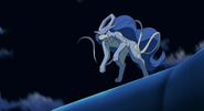 Shiny Suicune