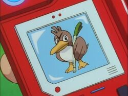 Pokemon Episode 49 Analysis – So Near, Yet So Farfetch'd