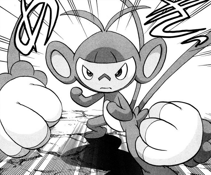 新しい到着 Pokémon | Aibo Wiki Fandom | Box/デッキ/パック