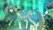 Zacian anime