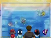 The heroes find their Pokémon swimming