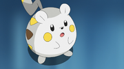 Sophocles Togedemaru