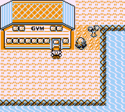 Vermilion Gym, Victory Road Wiki