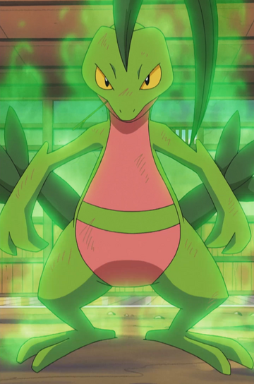 Ash S Sceptile Pokemon Wiki Fandom