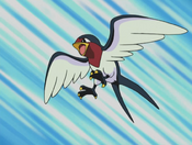 Ash's Taillow