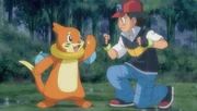 Ash and Buizel.