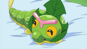 Caterpie got a leafy clothing from Leavanny